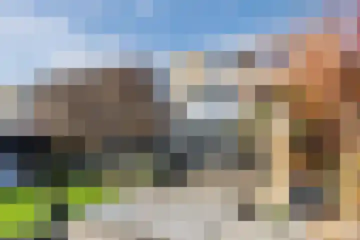 Zeewinde 53 Katwijk thumbnail 69