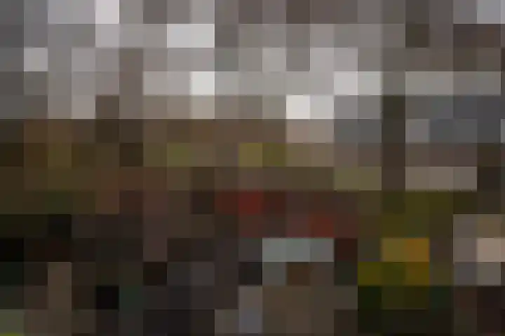 Zeewinde 82 Alphen aan den Rijn thumbnail 17