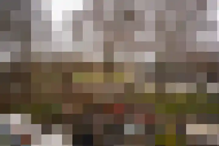 Zeewinde 82 Alphen aan den Rijn thumbnail 28