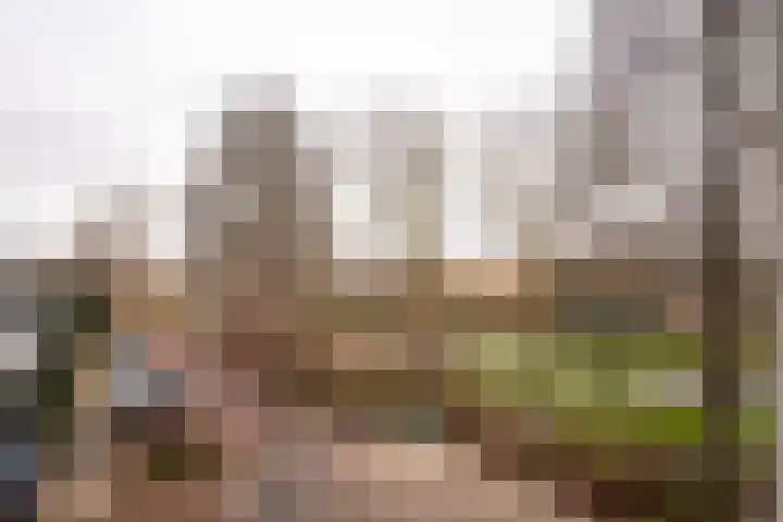 Zeewinde 82 Alphen aan den Rijn thumbnail 33