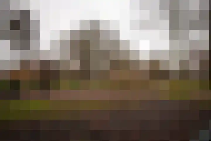 Zeewinde 82 Alphen aan den Rijn thumbnail 34