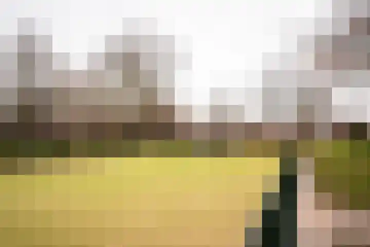 Zeewinde 82 Alphen aan den Rijn thumbnail 35