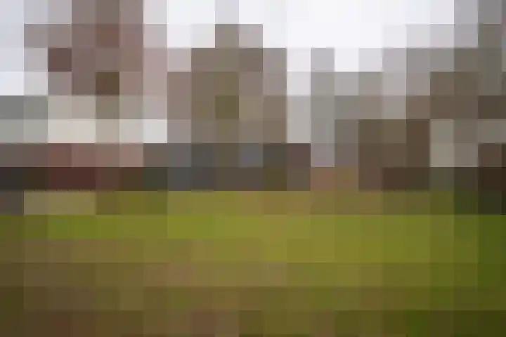 Zeewinde 82 Alphen aan den Rijn thumbnail 36