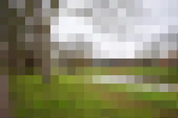 Zeewinde 82 Alphen aan den Rijn thumbnail 37