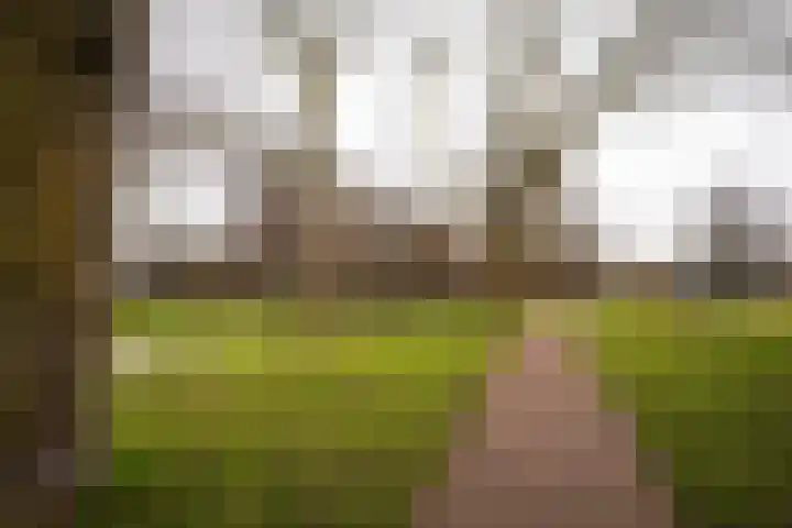 Zeewinde 82 Alphen aan den Rijn thumbnail 38