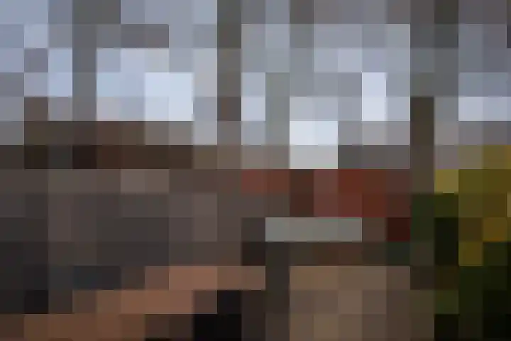 Zeewinde 82 Alphen aan den Rijn thumbnail 7