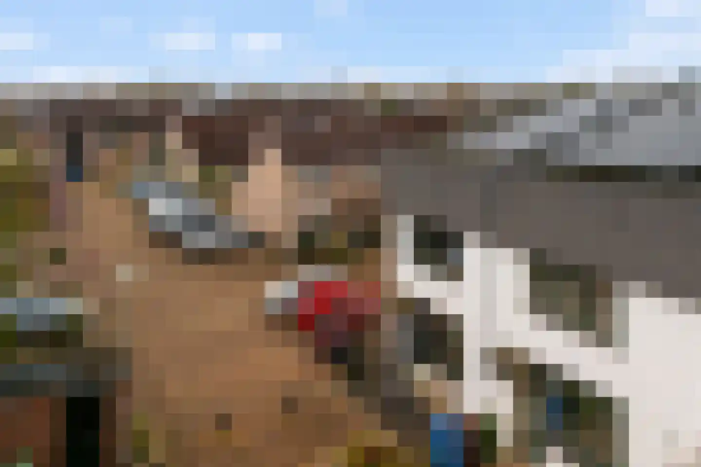 Zeewinde 94 Alphen aan den Rijn thumbnail 6