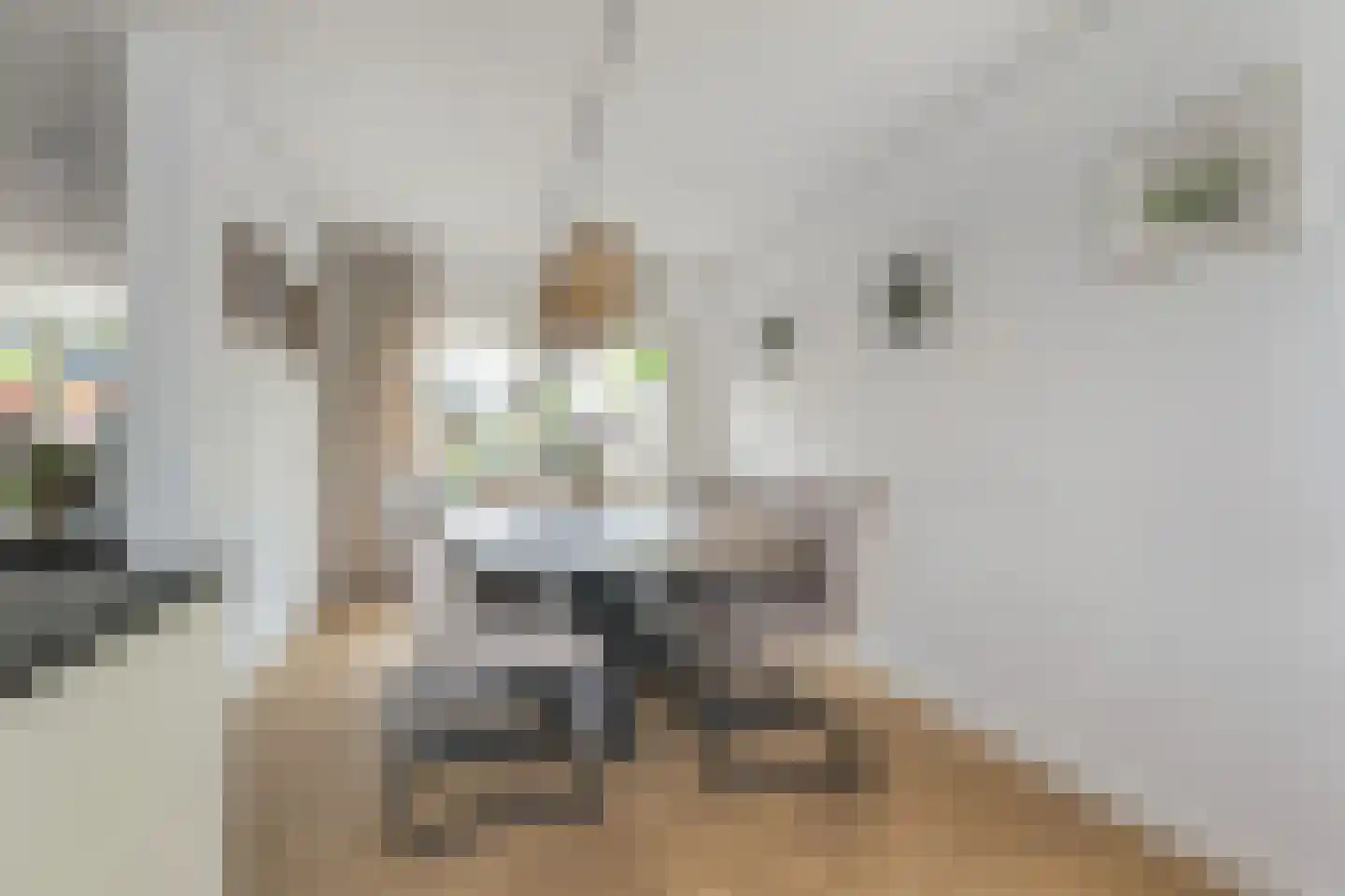 Zeewindelaan 73 Den Haag thumbnail 20
