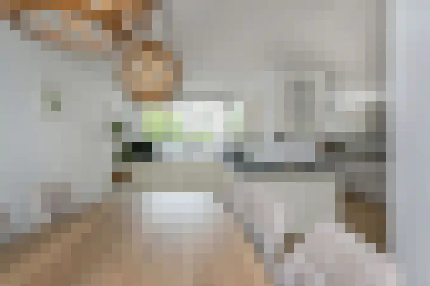 Zeewindelaan 73 Den Haag thumbnail 22