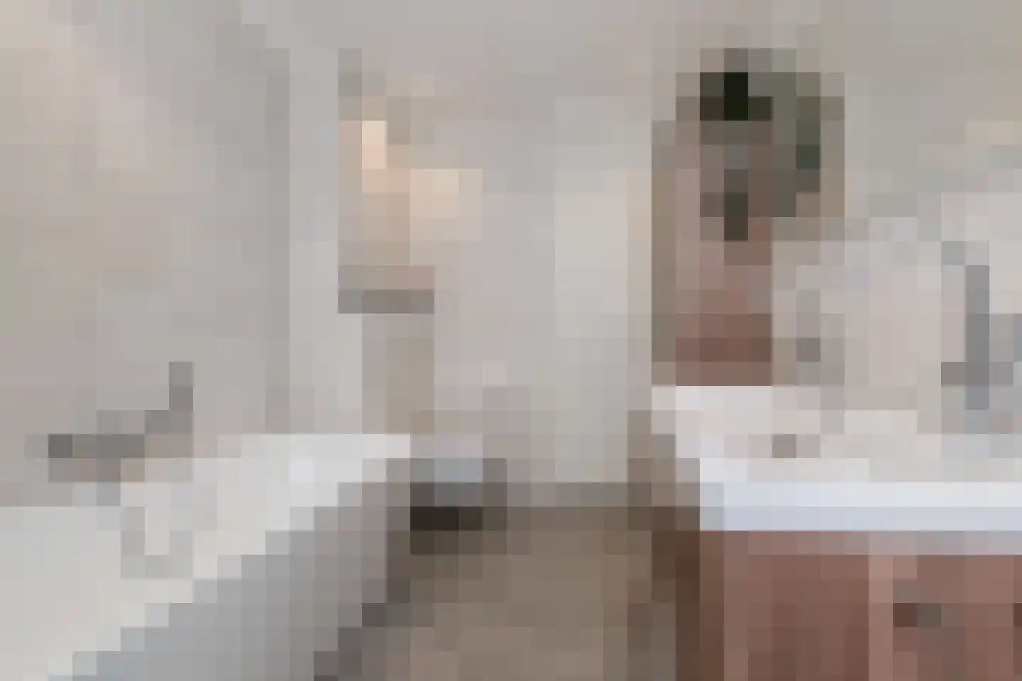 Zeewindelaan 73 Den Haag thumbnail 5