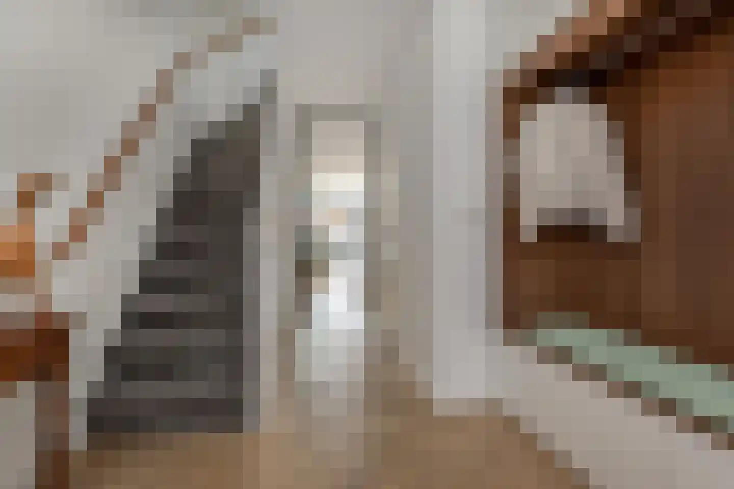 Zeewindelaan 73 Den Haag thumbnail 9
