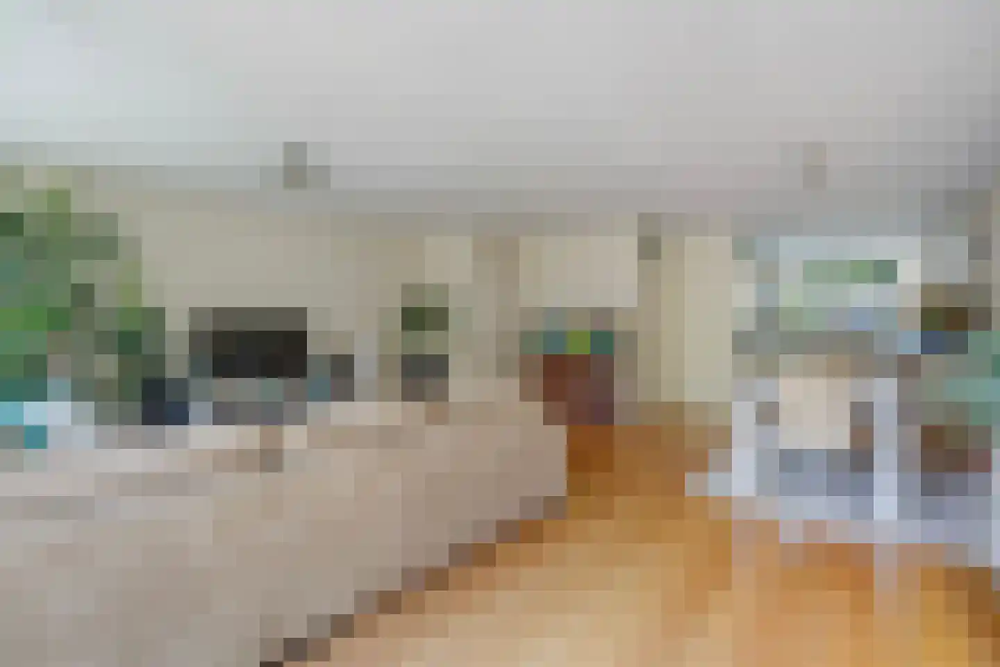 Zeewindelaan 90 Den Haag thumbnail 15