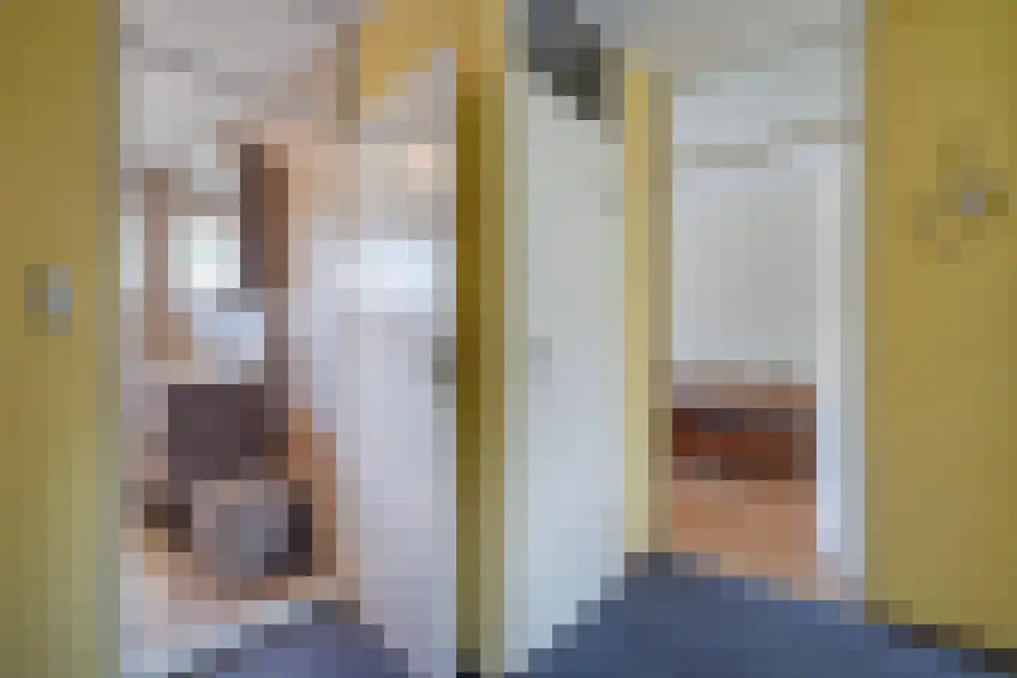 Zeewindelaan 90 Den Haag thumbnail 29