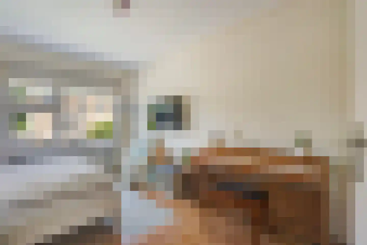 Zeewindelaan 90 Den Haag thumbnail 30