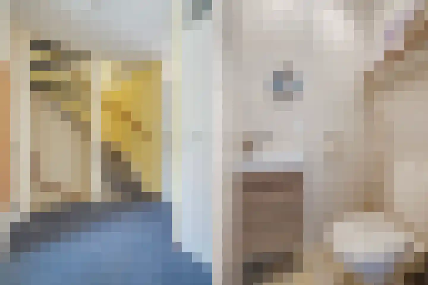 Zeewindelaan 90 Den Haag thumbnail 37
