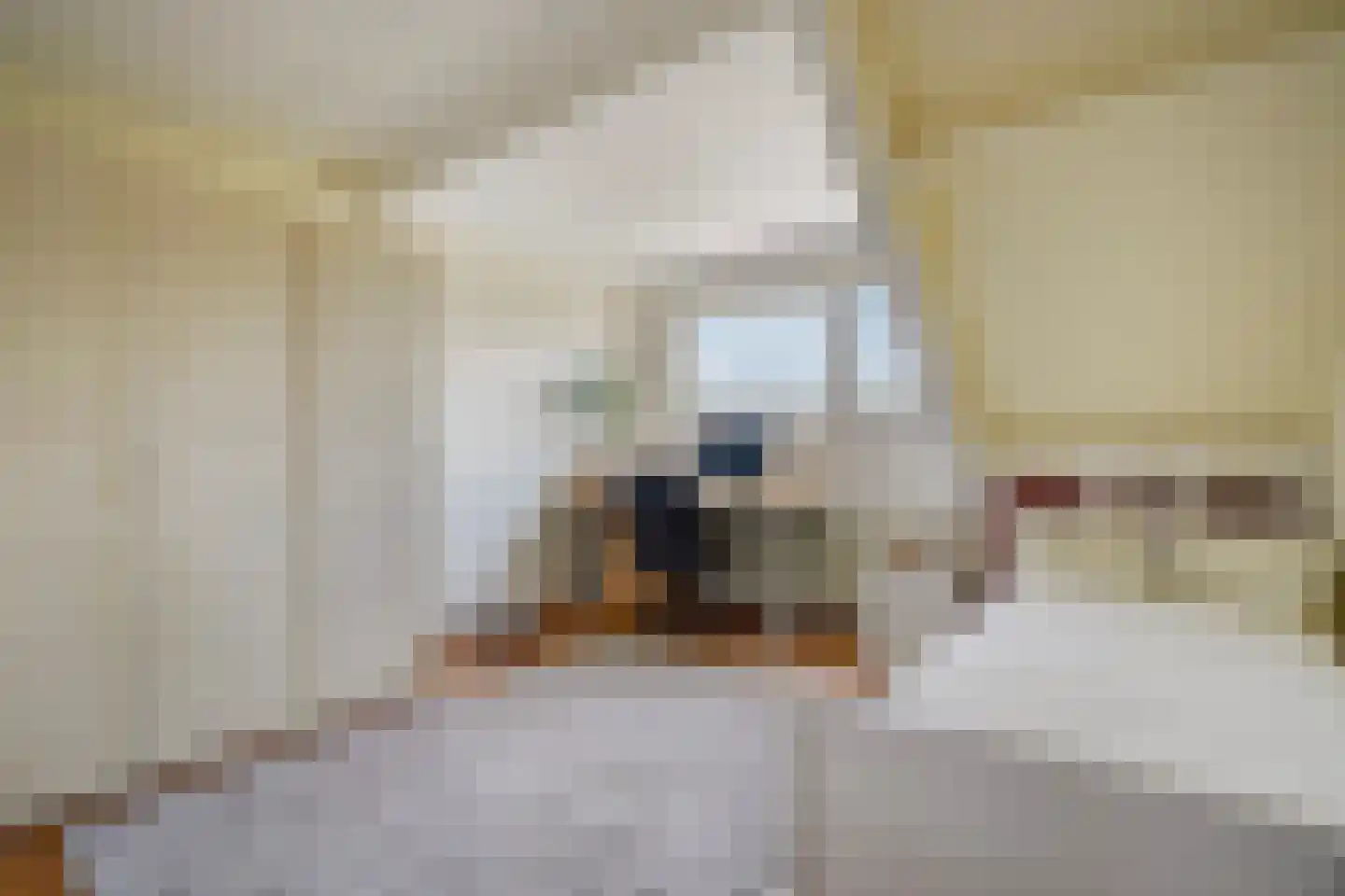 Zeewindelaan 90 Den Haag thumbnail 38