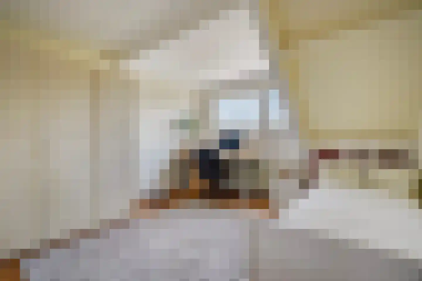Zeewindelaan 90 Den Haag thumbnail 38