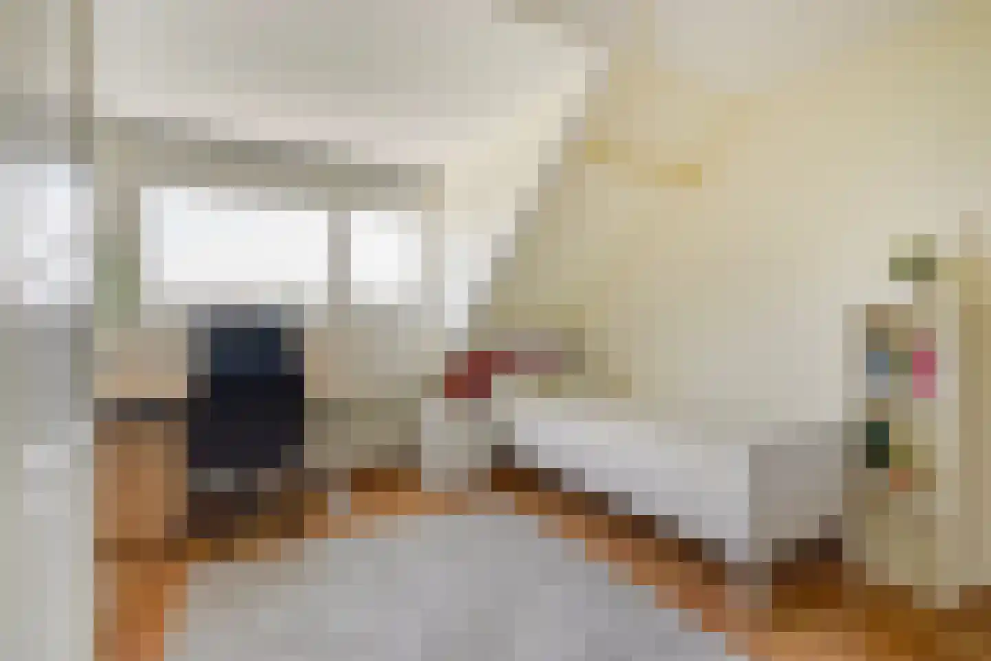 Zeewindelaan 90 Den Haag thumbnail 39