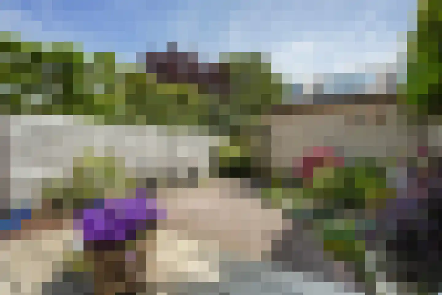 Zeewindelaan 90 Den Haag thumbnail 4