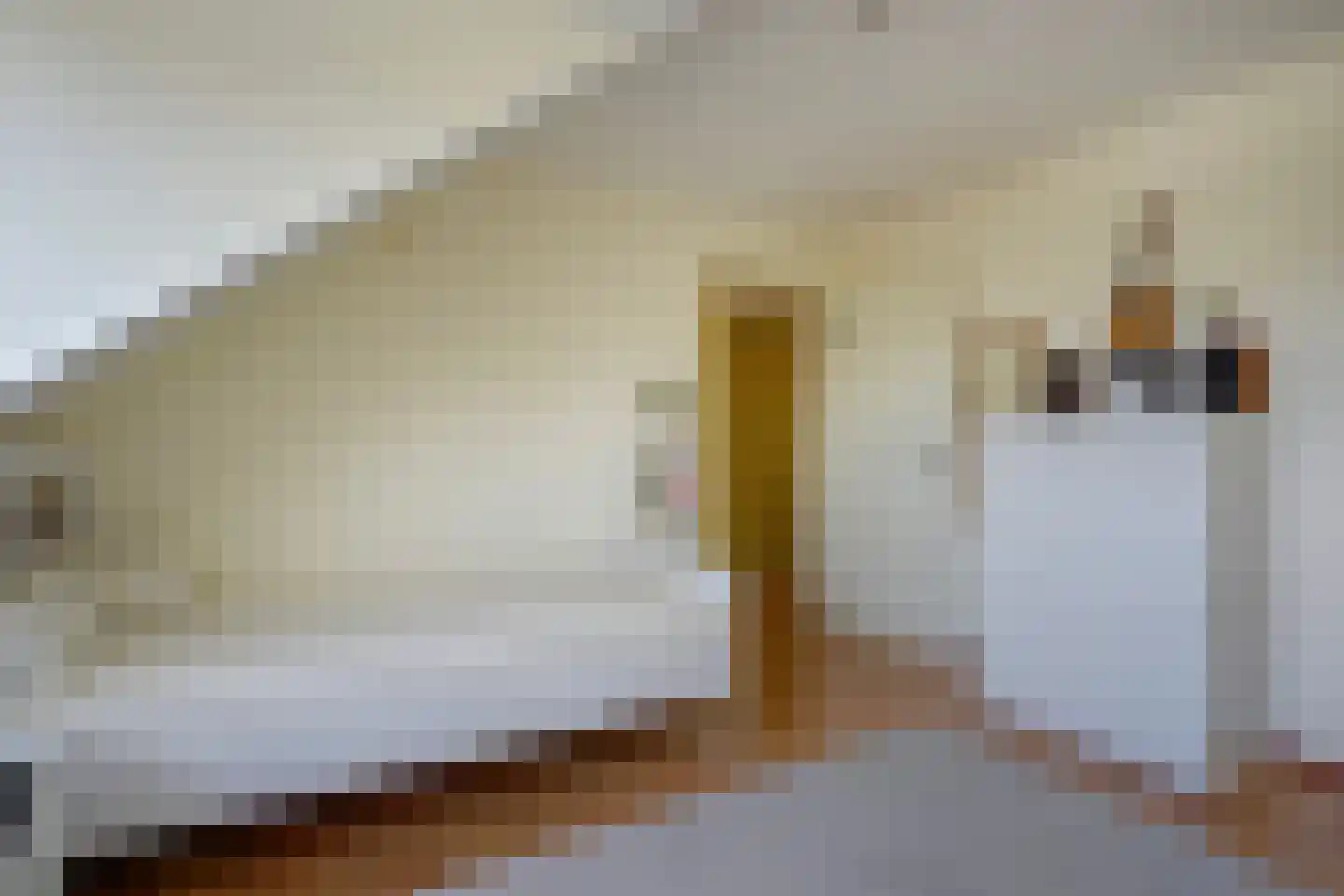 Zeewindelaan 90 Den Haag thumbnail 40