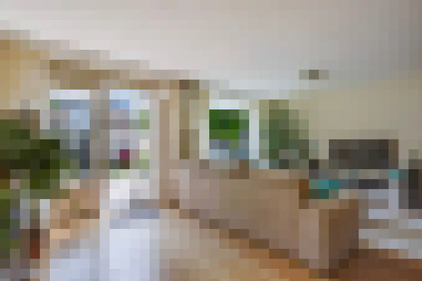 Zeewindelaan 90 Den Haag thumbnail 9