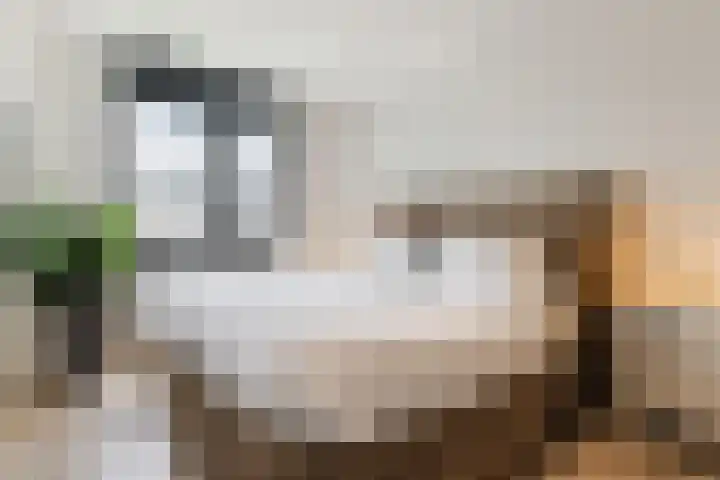 Zeewoldestraat 2 Tilburg thumbnail 13