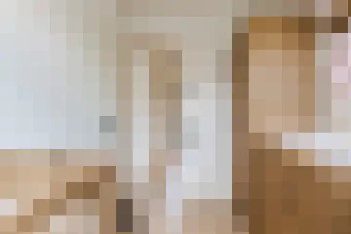 Zeewoldestraat 2 Tilburg thumbnail 17