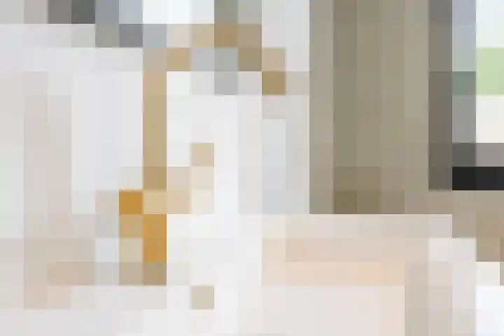 Zeewoldestraat 2 Tilburg thumbnail 21