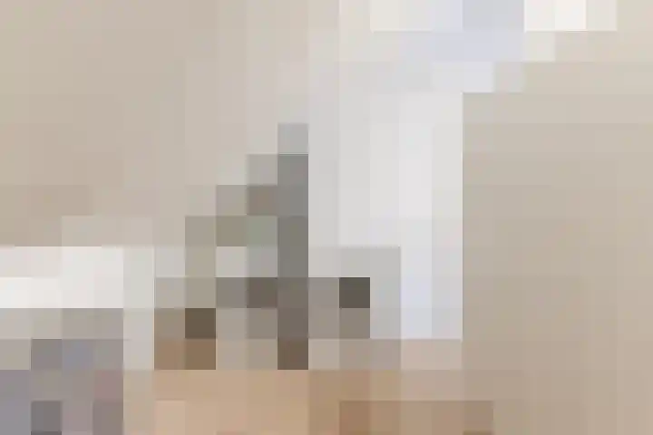 Zeewoldestraat 2 Tilburg thumbnail 28