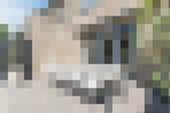 Zeewoldestraat 2 Tilburg thumbnail 30