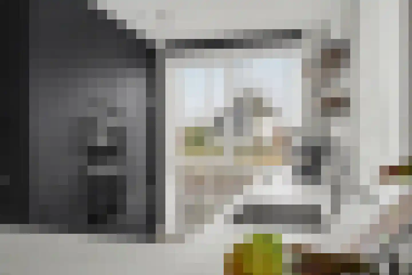 Zeewolf 16 Schagen thumbnail 10