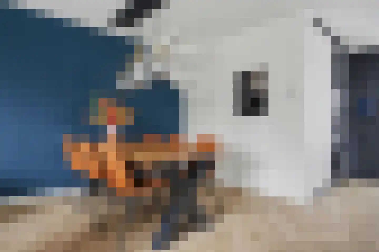 Zeewolf 16 Schagen thumbnail 16