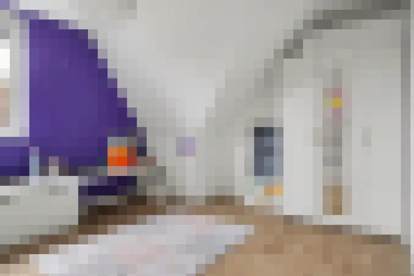 Zeewolf 16 Schagen thumbnail 36