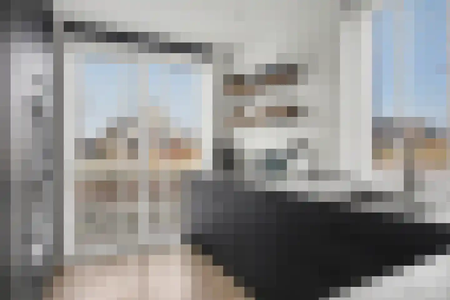 Zeewolf 16 Schagen thumbnail 4