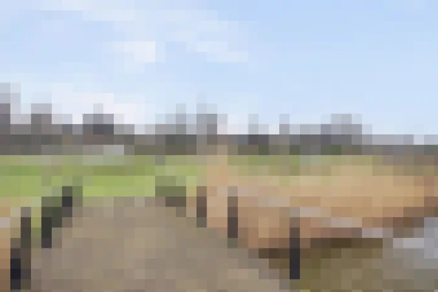 Zeewolf 16 Schagen thumbnail 42