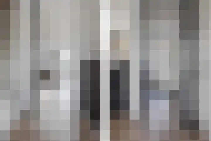 Zeewolf 29 Schagen thumbnail 10