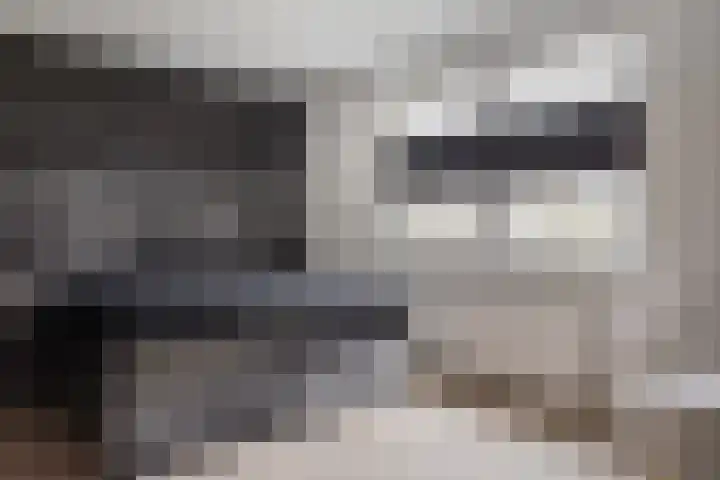 Zeewolf 29 Schagen thumbnail 11