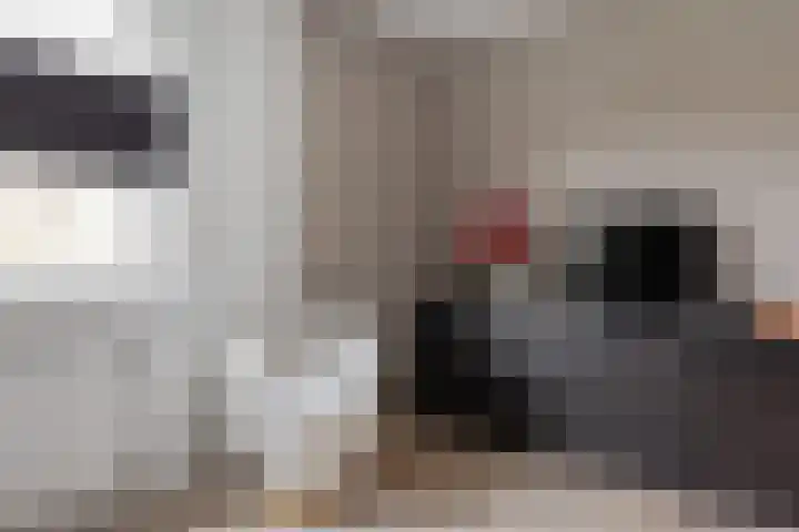 Zeewolf 29 Schagen thumbnail 12