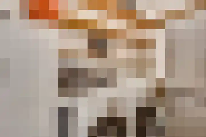 Zeewolf 29 Schagen thumbnail 14