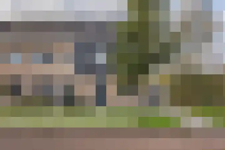 Zeewolf 29 Schagen thumbnail 20