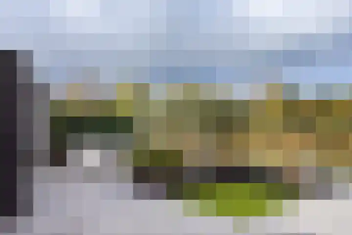 Zeewolf 29 Schagen thumbnail 22