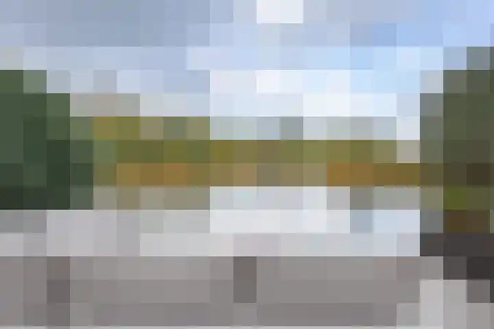 Zeewolf 29 Schagen thumbnail 23