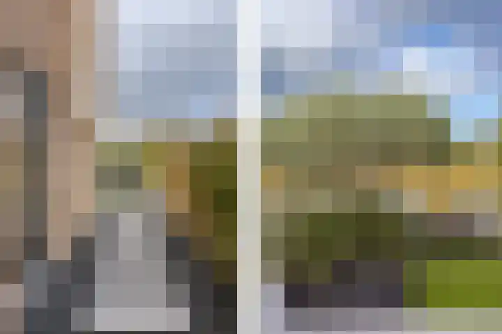 Zeewolf 29 Schagen thumbnail 26