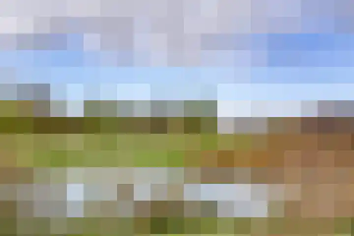 Zeewolf 29 Schagen thumbnail 27