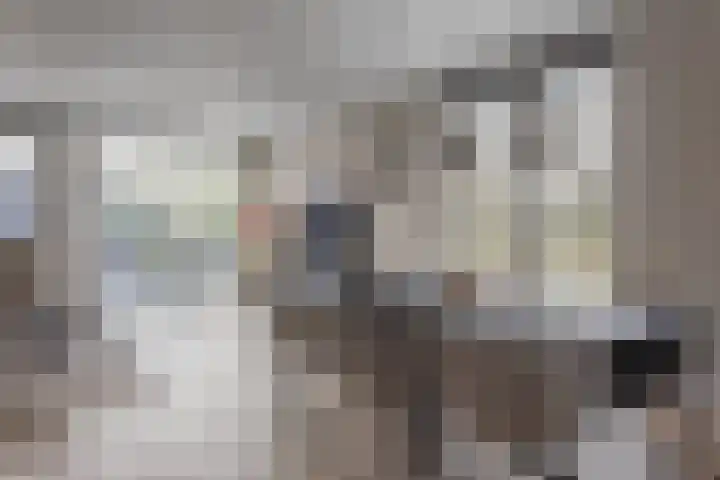 Zeewolf 29 Schagen foto 3