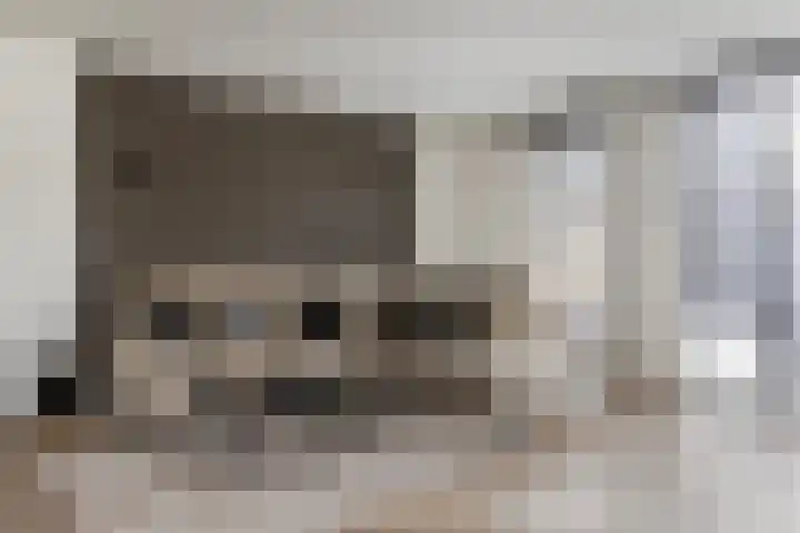 Zeewolf 29 Schagen thumbnail 4