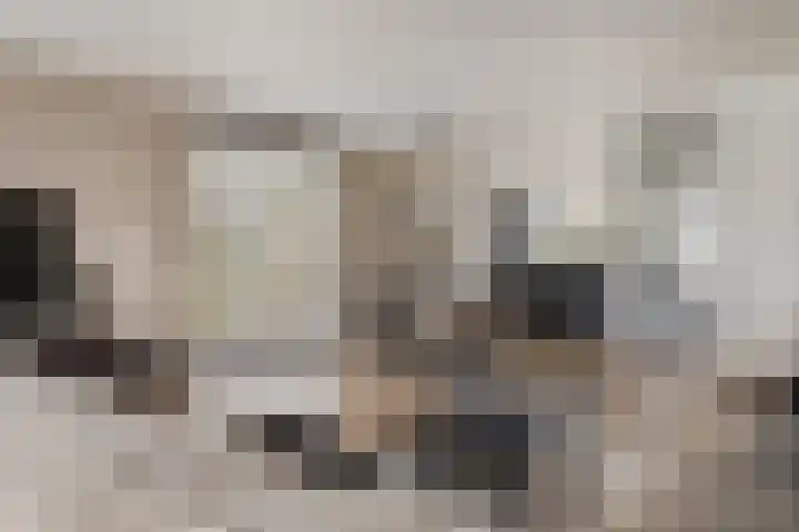 Zeewolf 29 Schagen thumbnail 5