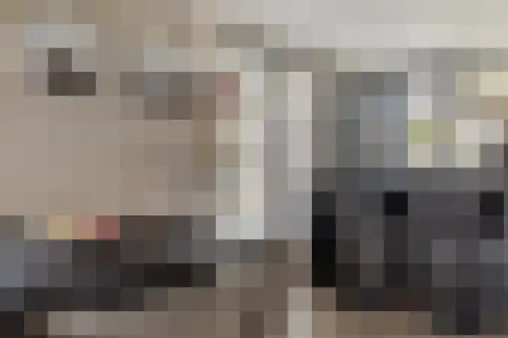 Zeewolf 29 Schagen thumbnail 7
