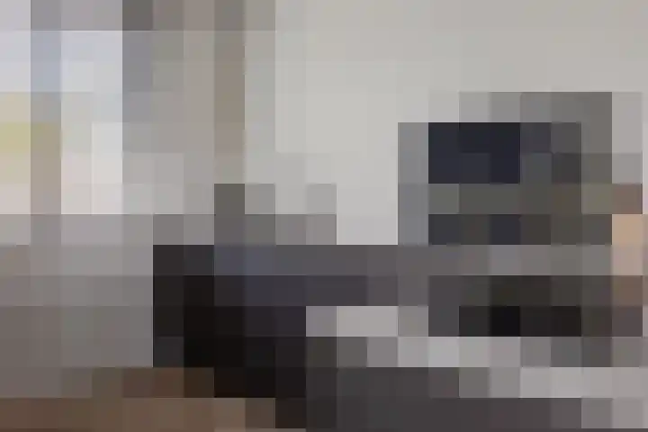 Zeewolf 29 Schagen thumbnail 8