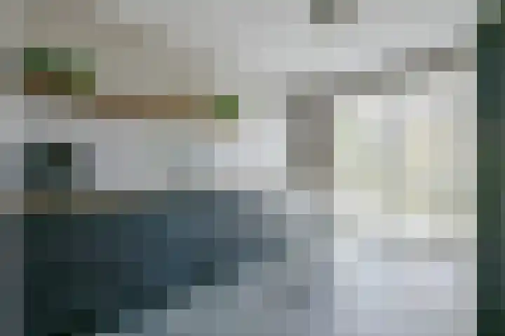 Zeewolf 37 Schagen thumbnail 10